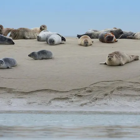 Au Pied Des Remparts Casa vacanze Saint-Valéry-sur-Somme